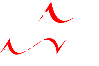 Auraview Optical