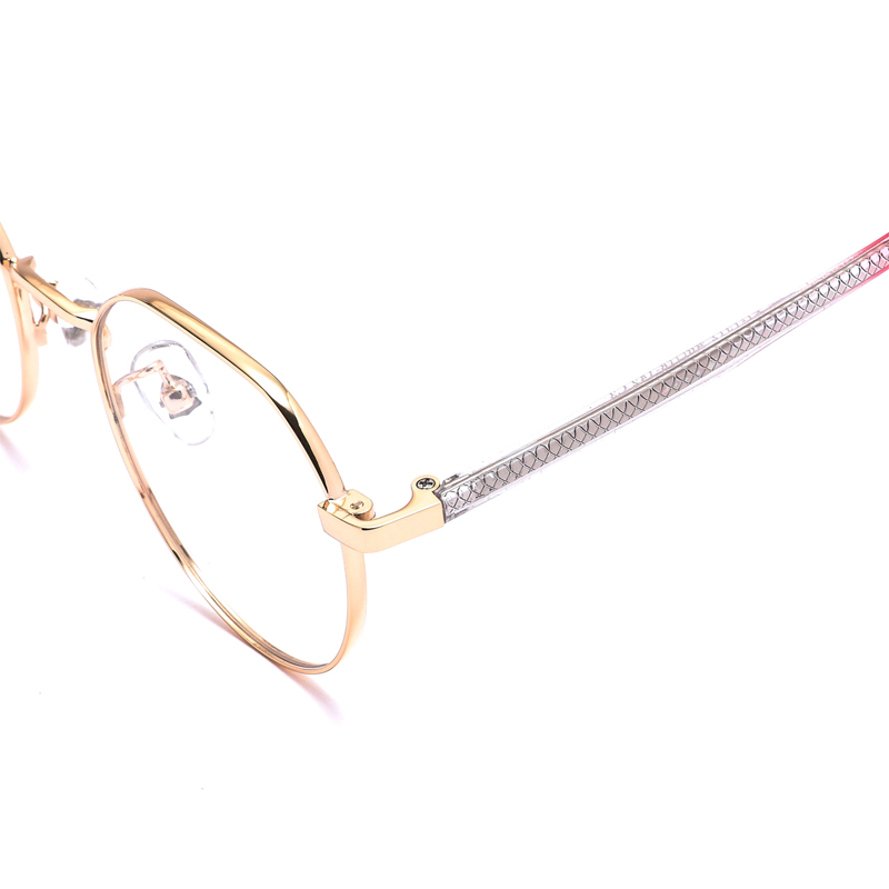 Optical Frame Feature 1
